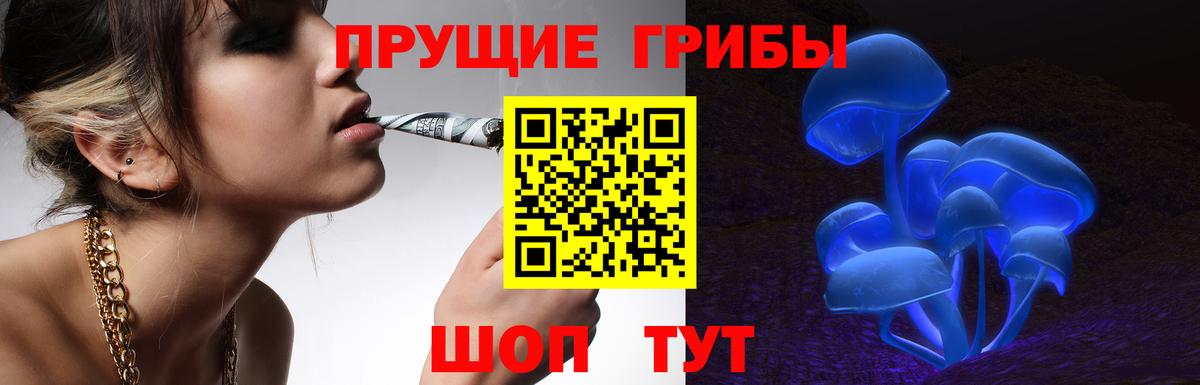 Галлюциногенные грибы ЛСД  Вход с VPN  Сибай  Псилоцибиновые грибы Psilocybe 